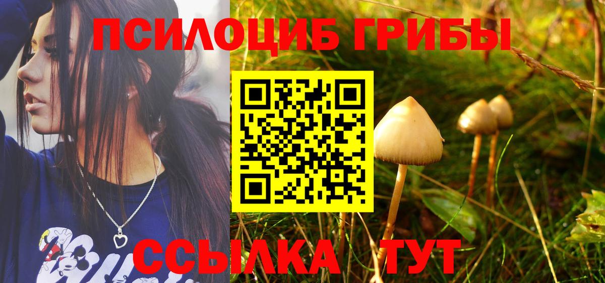 Белогорск  Псилоцибиновые грибы Cubensis  Вход с VPN 